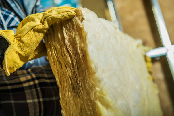 Best Insulation Maintenance and Repair in Indian Head Park, IL